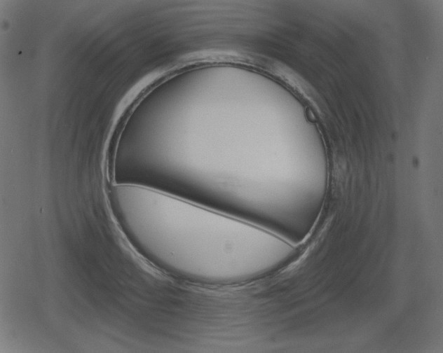 X0000078851082200611130928