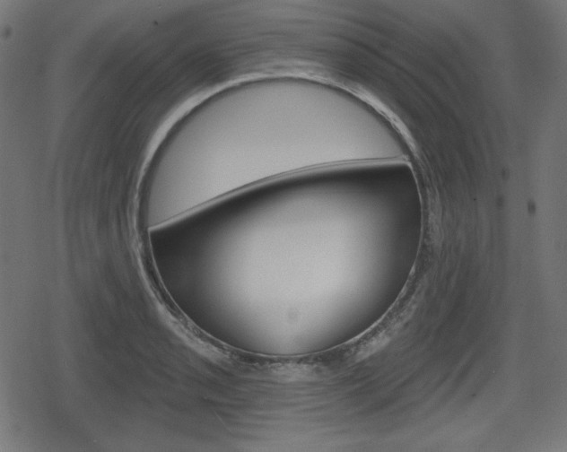 X0000078851085200611130928