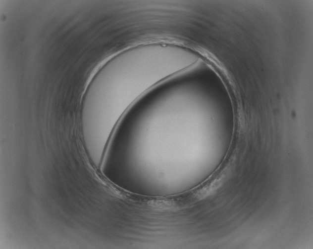 X0000078851089200611130928