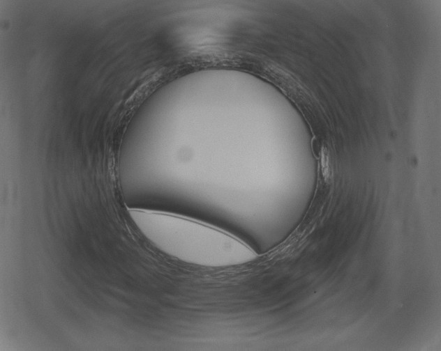 X0000078851107200611130927