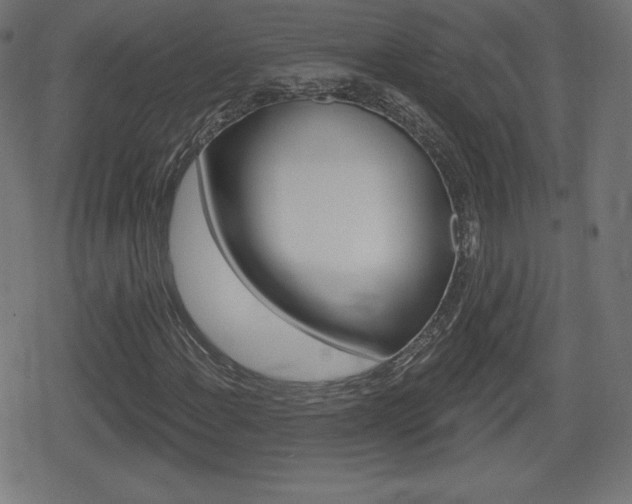 X0000078851108200611130927