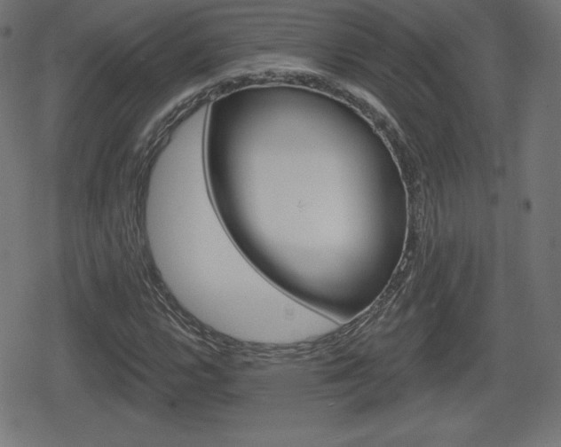 X0000078851112200611130927