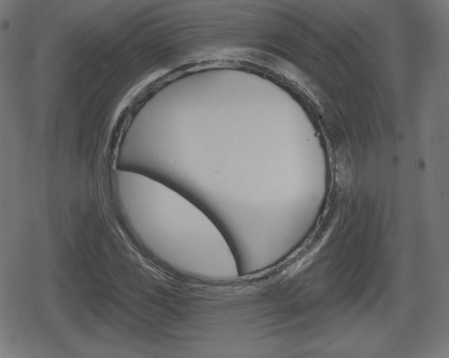 X0000078851117200611130928