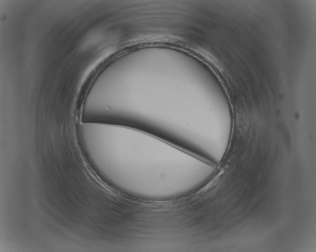 X0000078851119200611130928