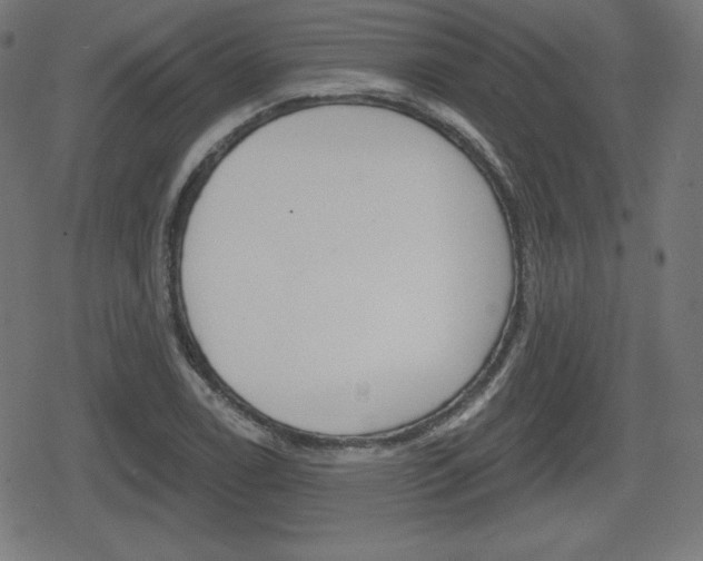 X0000078851122200611130928