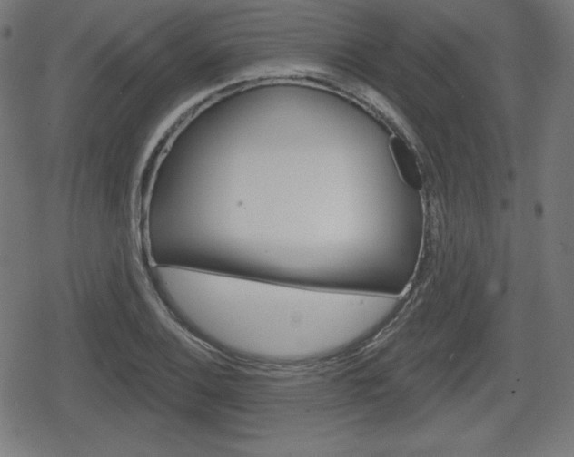 X0000078851124200611130928