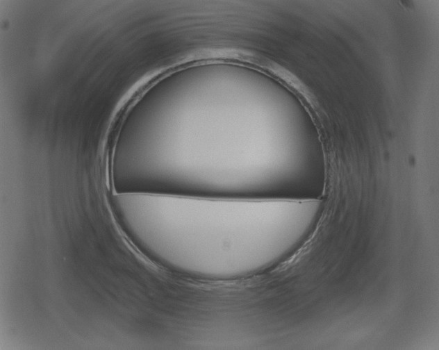 X0000078851127200611130928