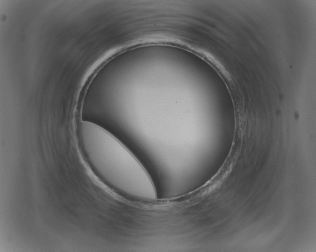 X0000078851134200611130928