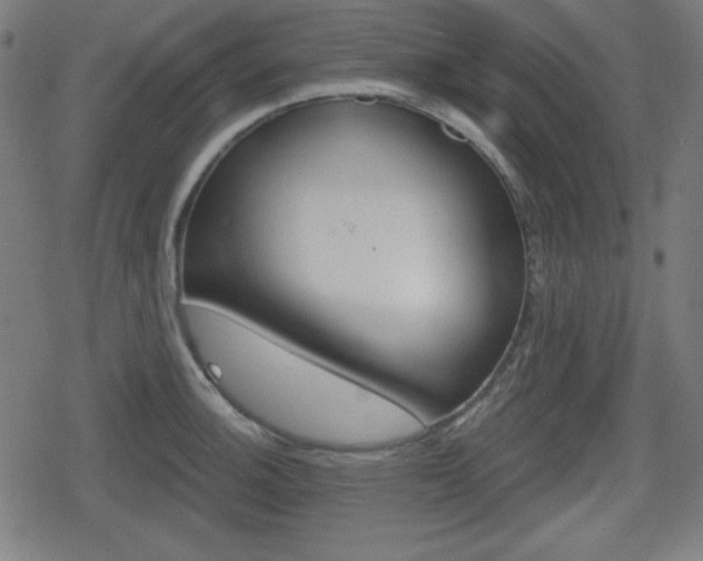 X0000078851140200611130928