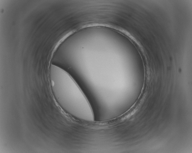 X0000078851145200611130928