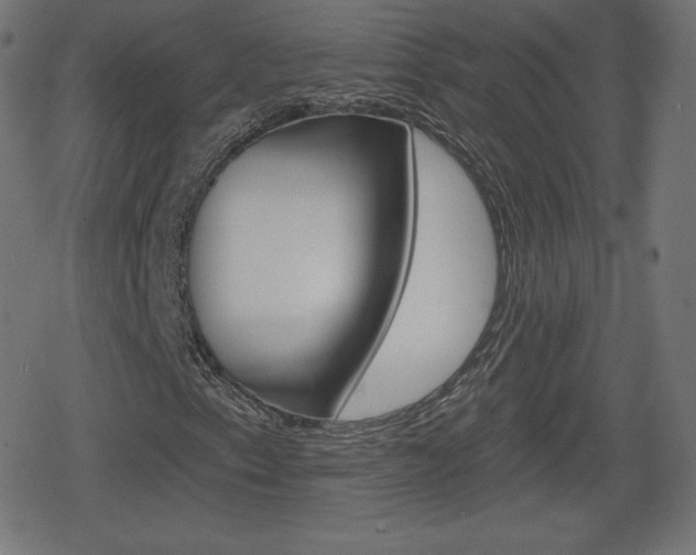 X0000078851153200611130927
