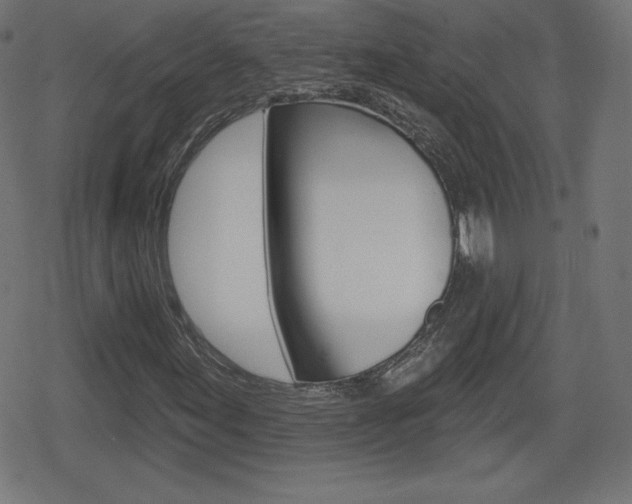 X0000078851155200611130927