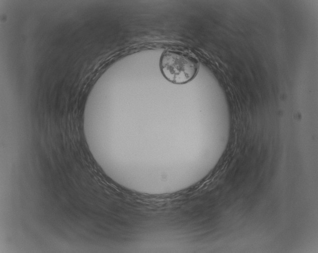 X0000078851157200611130927