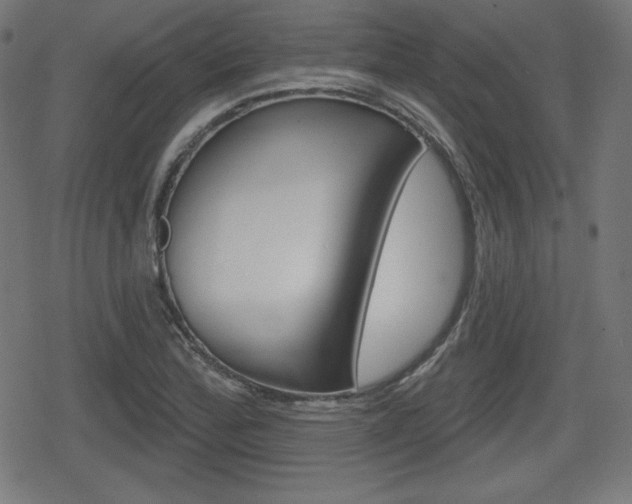 X0000078851172200611130927