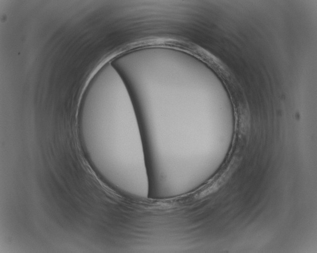 X0000078851178200611130927