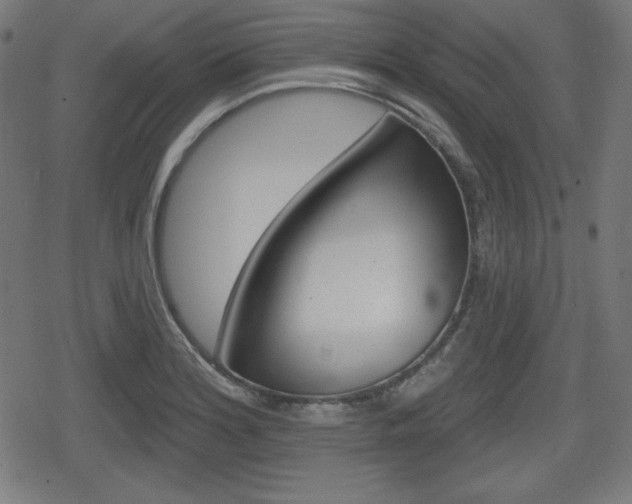 X0000078851180200611130927