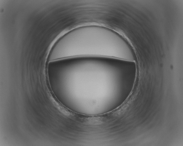 X0000078851181200611130927
