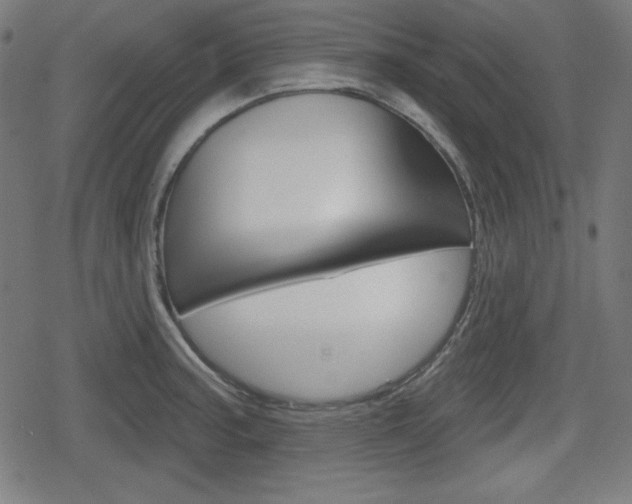 X0000078851187200611130927