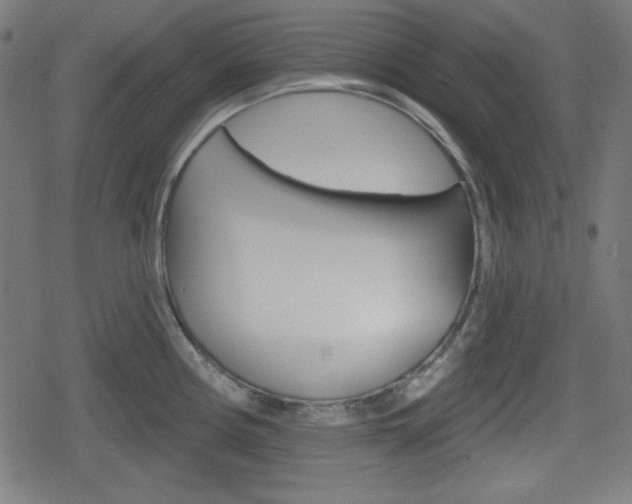 X0000078851194200611130927