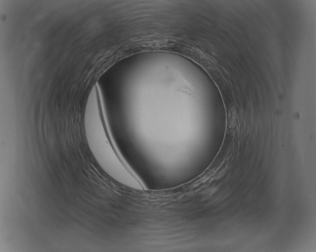 X0000078851202200611130926
