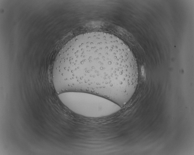 X0000078851203200611130926