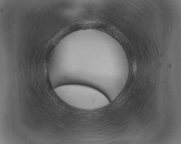 X0000078851204200611130926