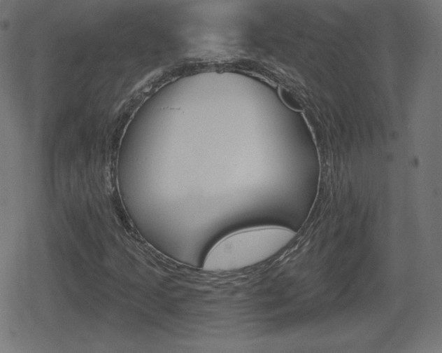 X0000078851205200611130926