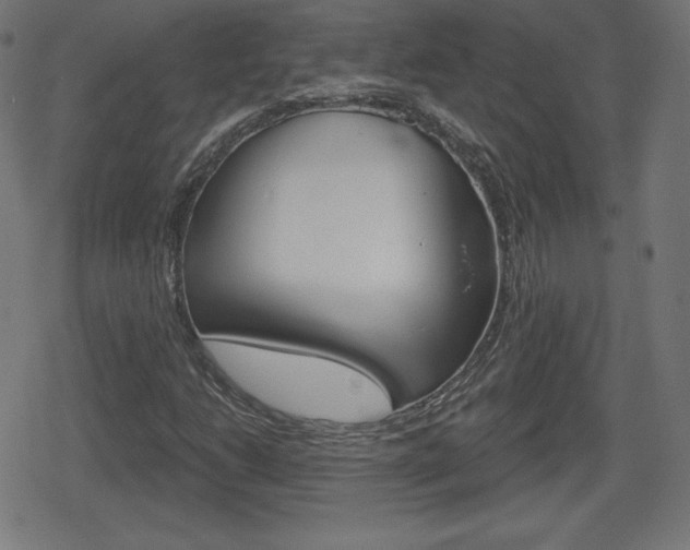X0000078851206200611130926