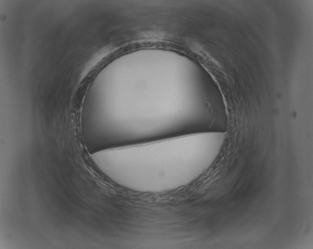 X0000078851208200611130926