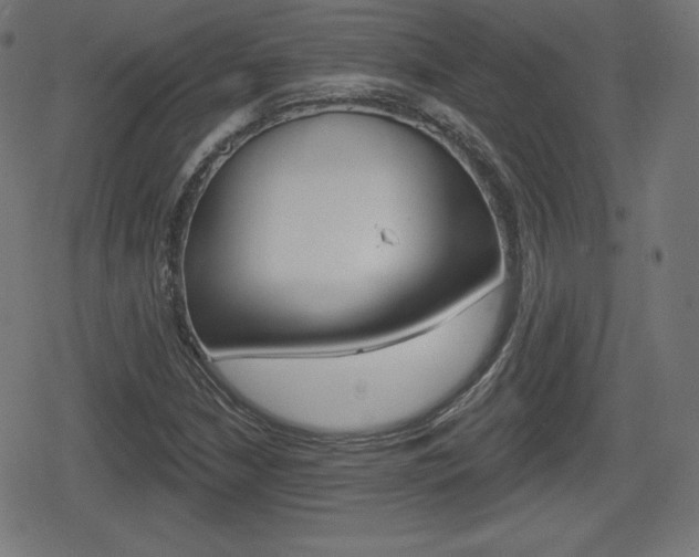 X0000078851210200611130926
