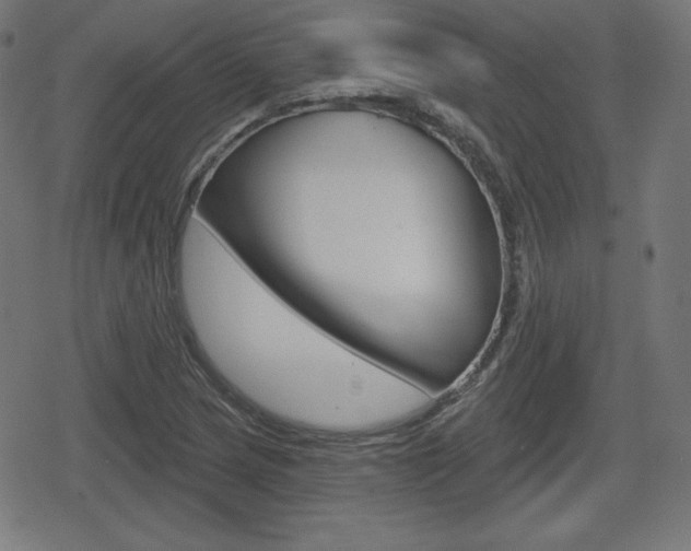 X0000078851217200611130926