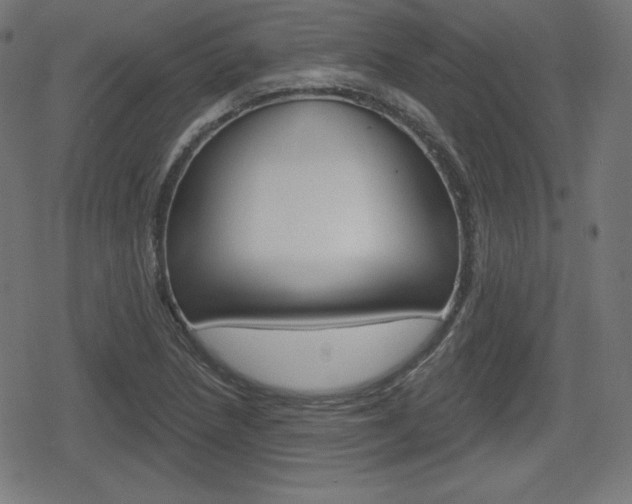 X0000078851218200611130926