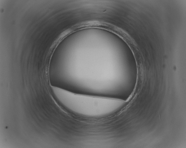 X0000078851225200611130926