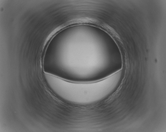 X0000078851226200611130926