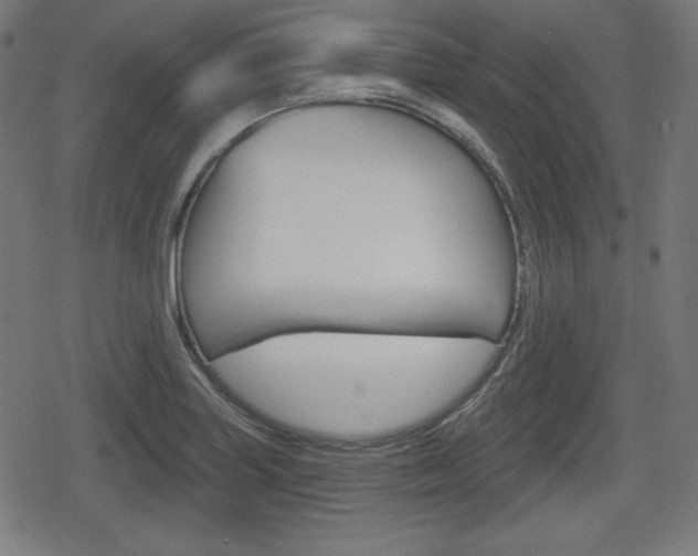 X0000078851227200611130926