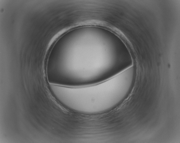 X0000078851230200611130926