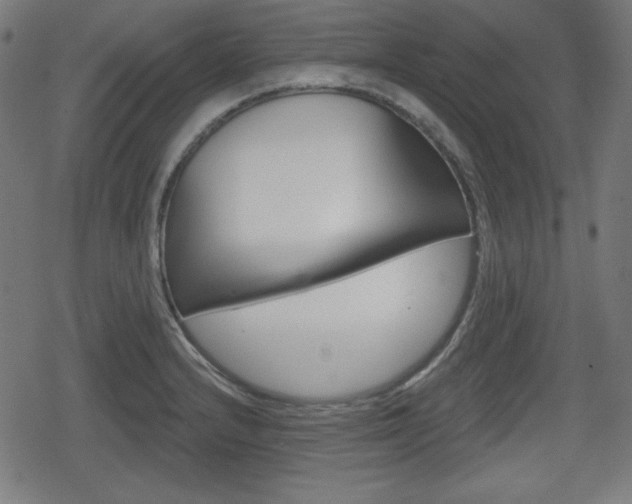 X0000078851232200611130926