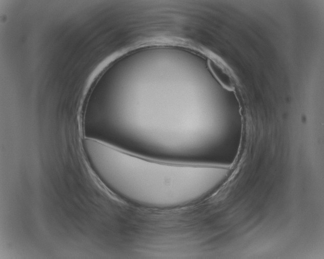 X0000078851238200611130926