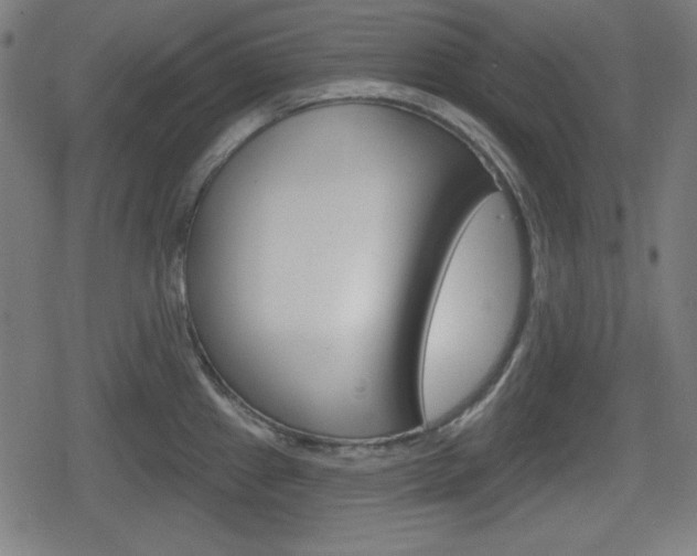 X0000078851241200611130926