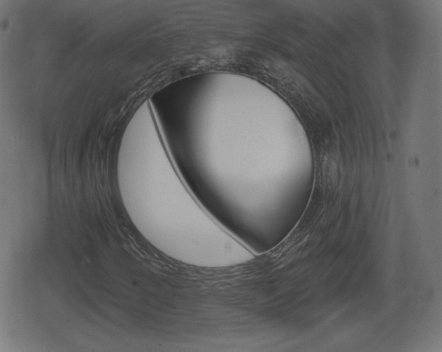 X0000078851250200611130926