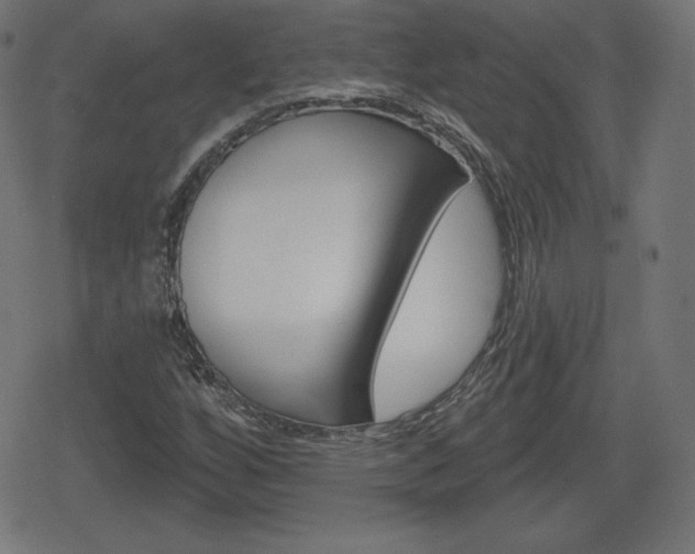 X0000078851256200611130926