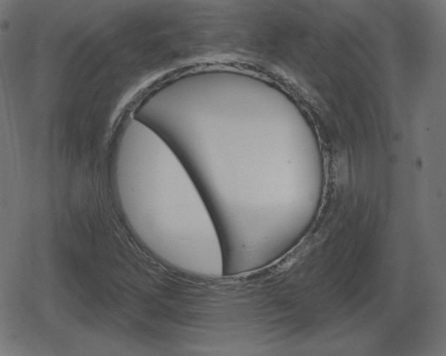 X0000078851262200611130926