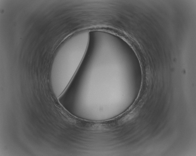 X0000078851265200611130926