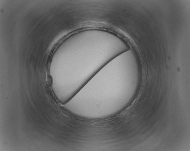 X0000078851267200611130925