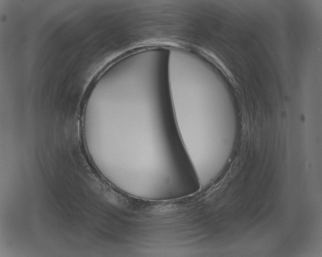 X0000078851268200611130925