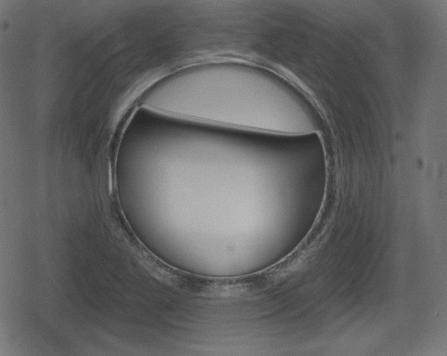 X0000078851269200611130925