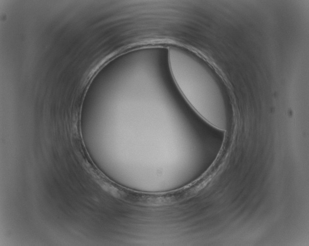 X0000078851273200611130925