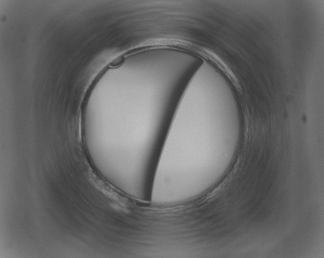 X0000078851276200611130925