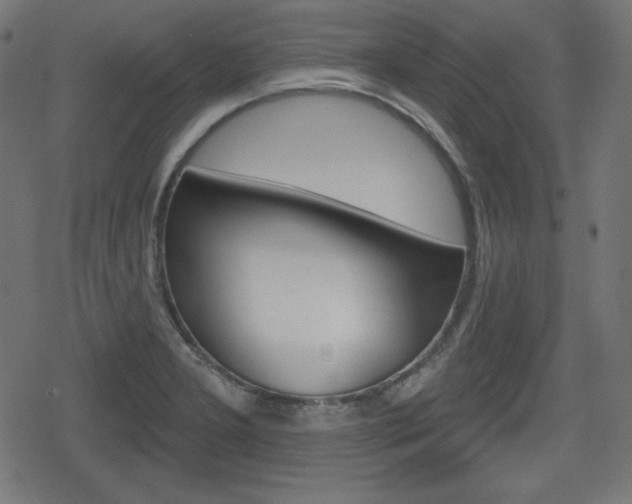 X0000078851277200611130925