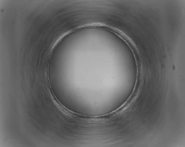 X0000078851281200611130925